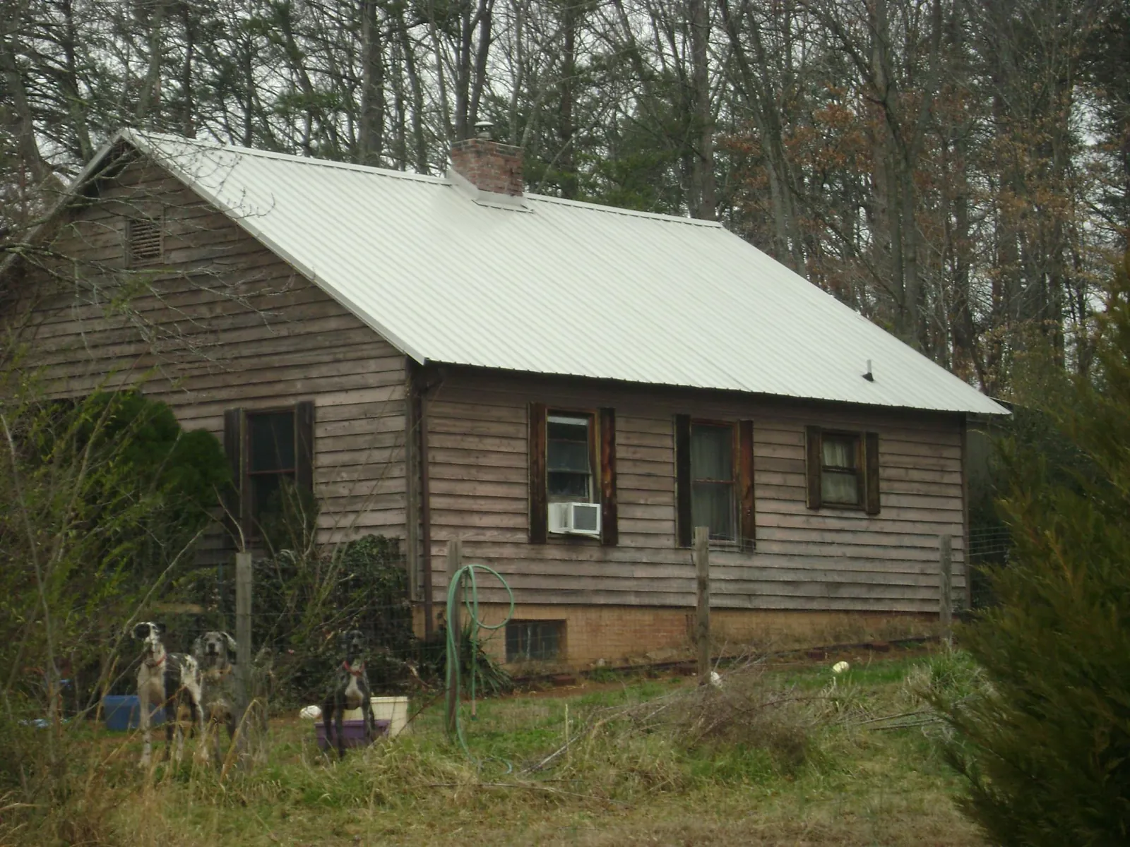 White metal roof on an old wood sided farmhouse, from a Asphalt Shingle Roof Repair job in Commerce